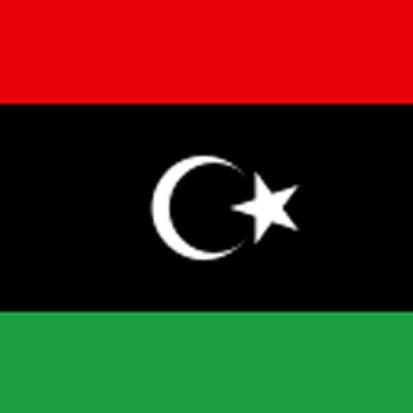 Libyan ORL Society