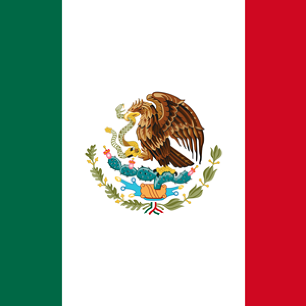 FEDERACION MEXICANA DE ORL