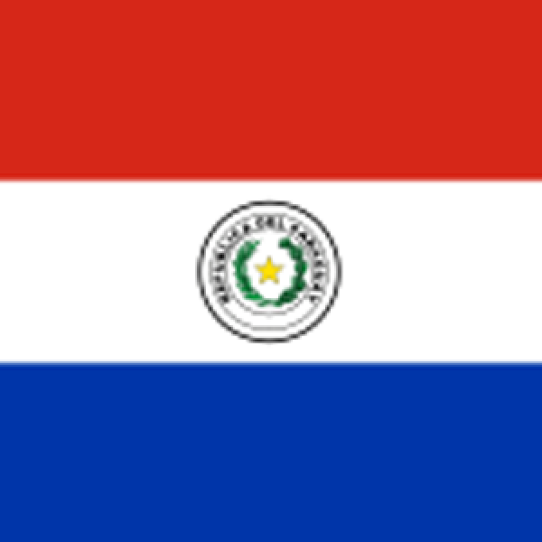 The ORL Society of Paraguay
