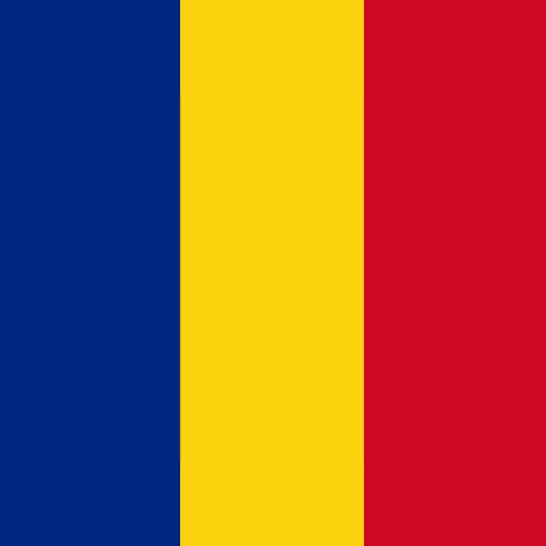 Romanian ENT Society