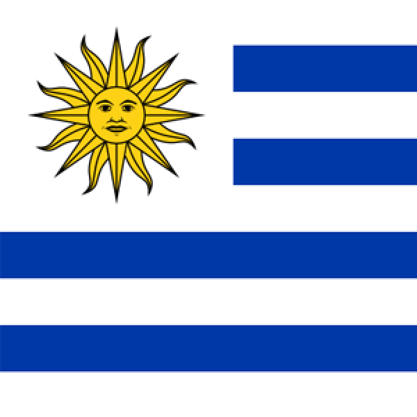 Sociedad ORL del Uruguay